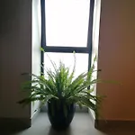 بيت للعطل Casa Do Favinha ماتشيكو