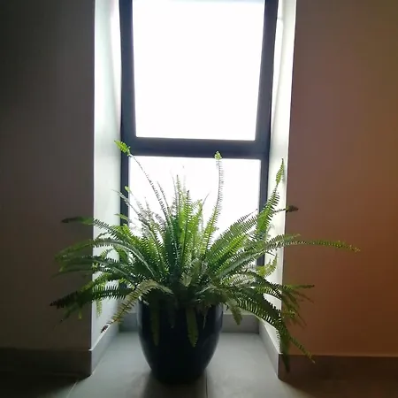 別荘 Casa Do Favinha マシコ
