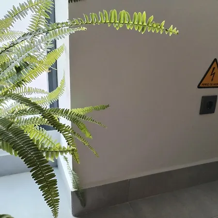 펜션 Casa Do Favinha