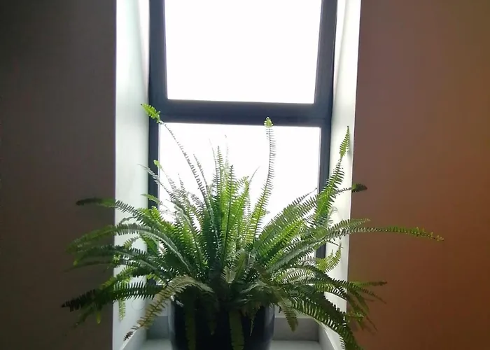 بيت للعطل Casa Do Favinha ماتشيكو