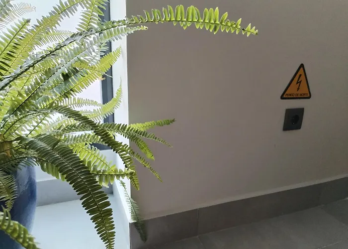 Ferienhaus Casa Do Favinha