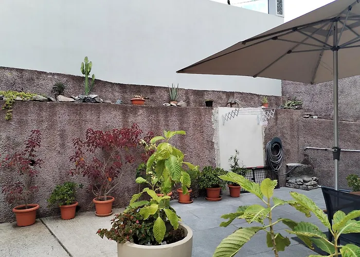 度假居 Casa Do Favinha